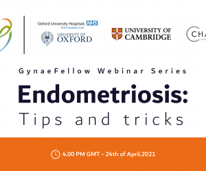 endometriosis tips and tricks (1)